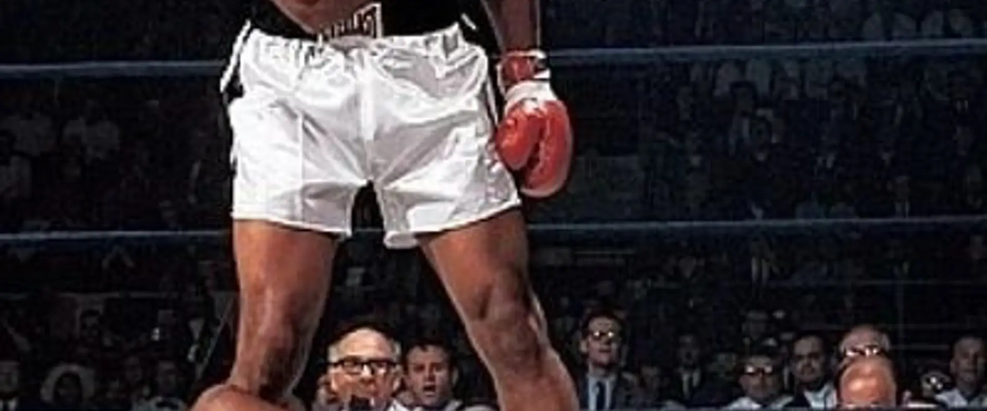 Mad Katz Boxing