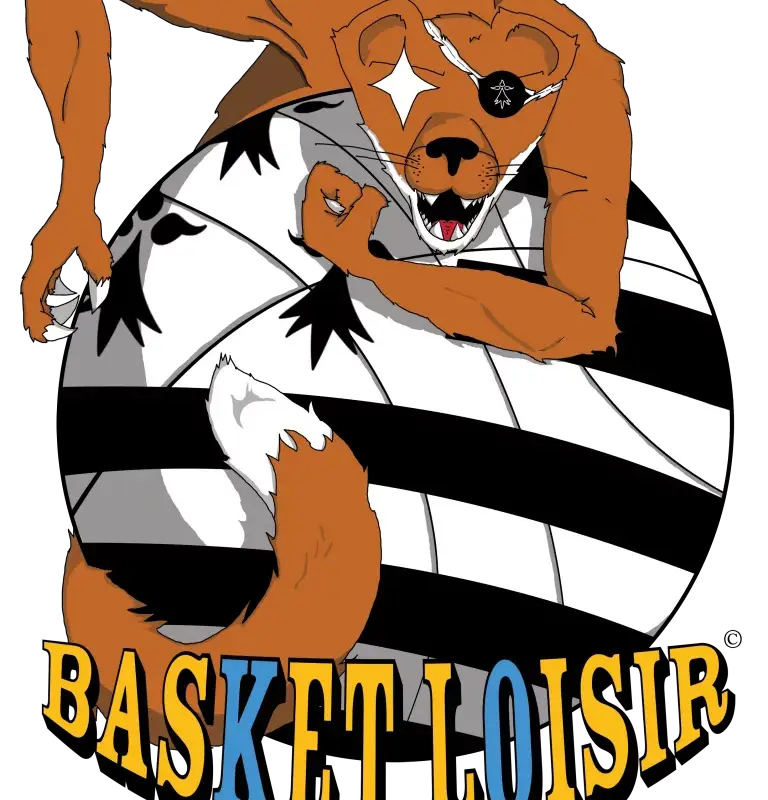 Basket Loisir
