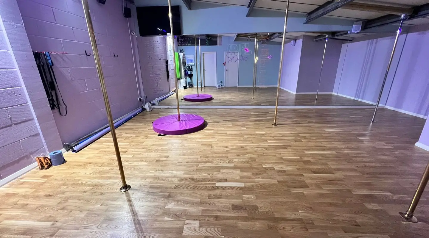 Ariel Pole Dance Studio