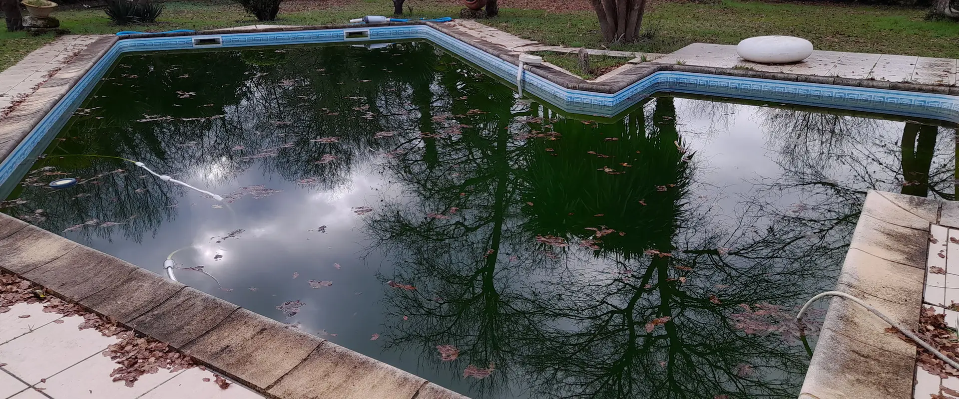 SAP'iscine Moncé Damien