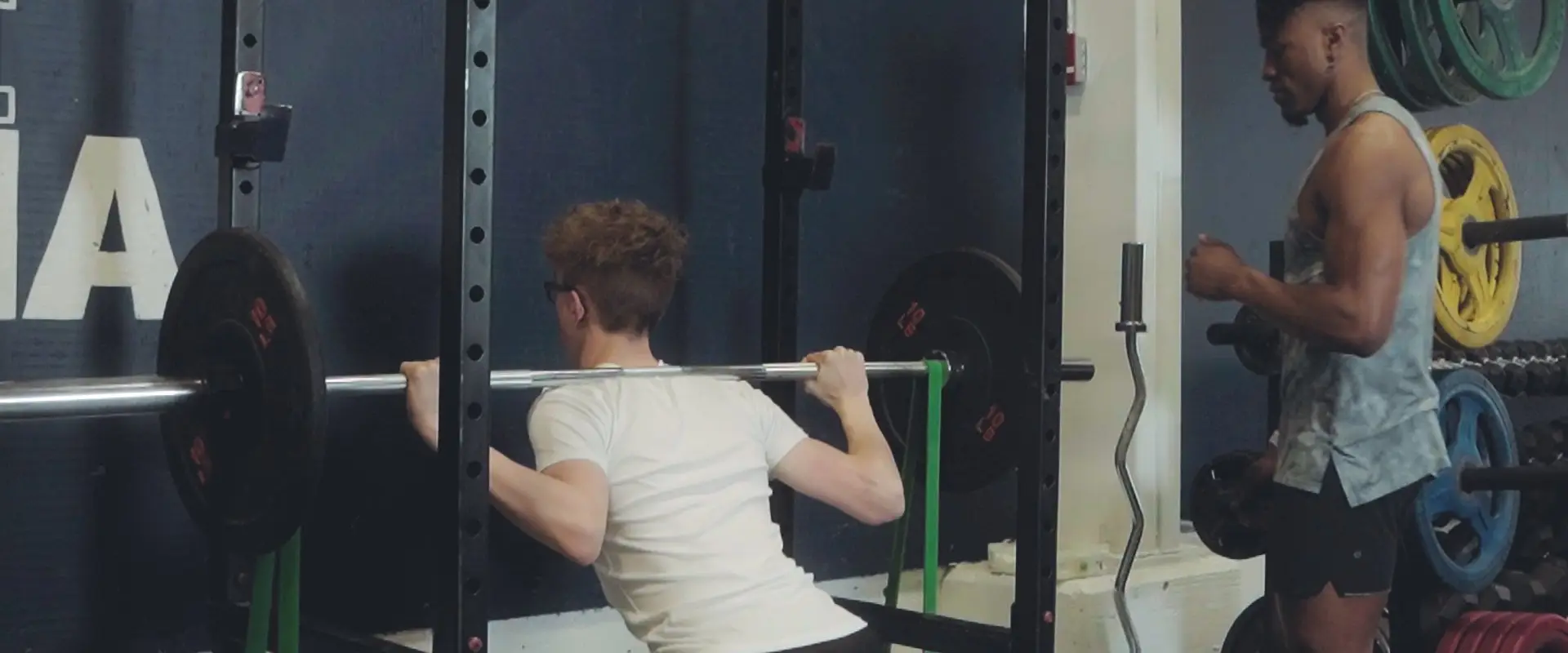 Alpha Pro Training