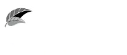 Cherry Tree Yoga