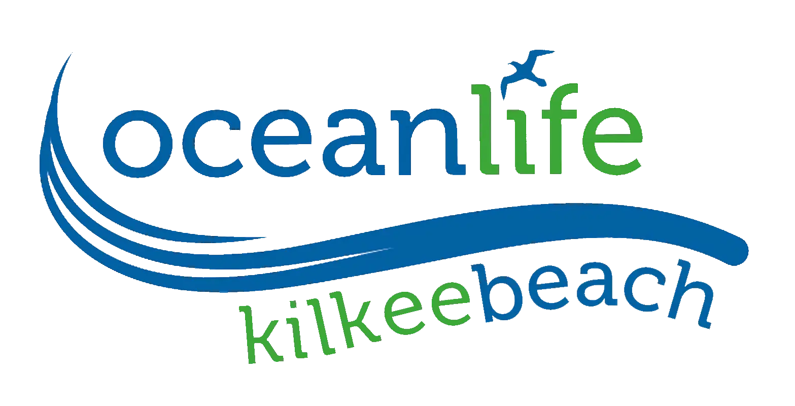Oceanlife Dive Centre