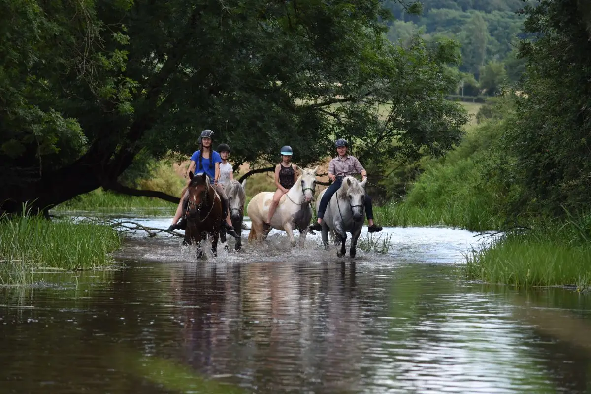 Horse Farm De St-Laurent - Équitation- Randonnées-Formation