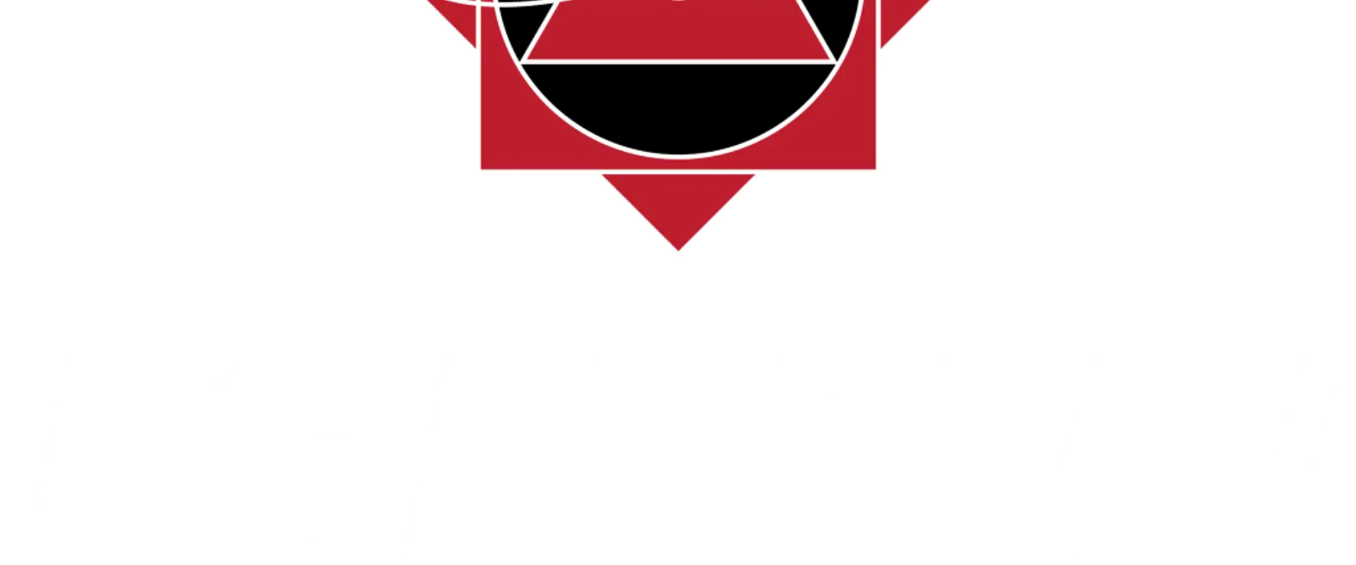 The Academy Of Martial Arts