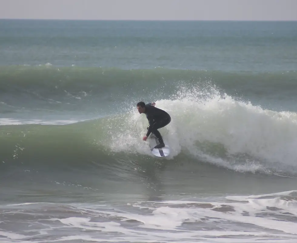 Haro Surf School
