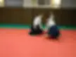 AIKIDO Creps