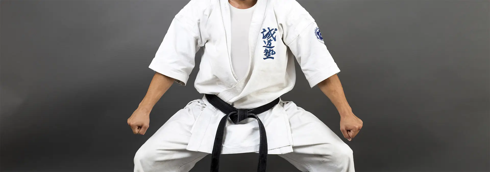 Seido Karate Nelson
