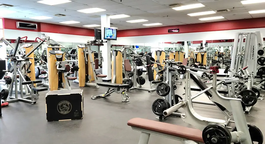 XL Gym Inc