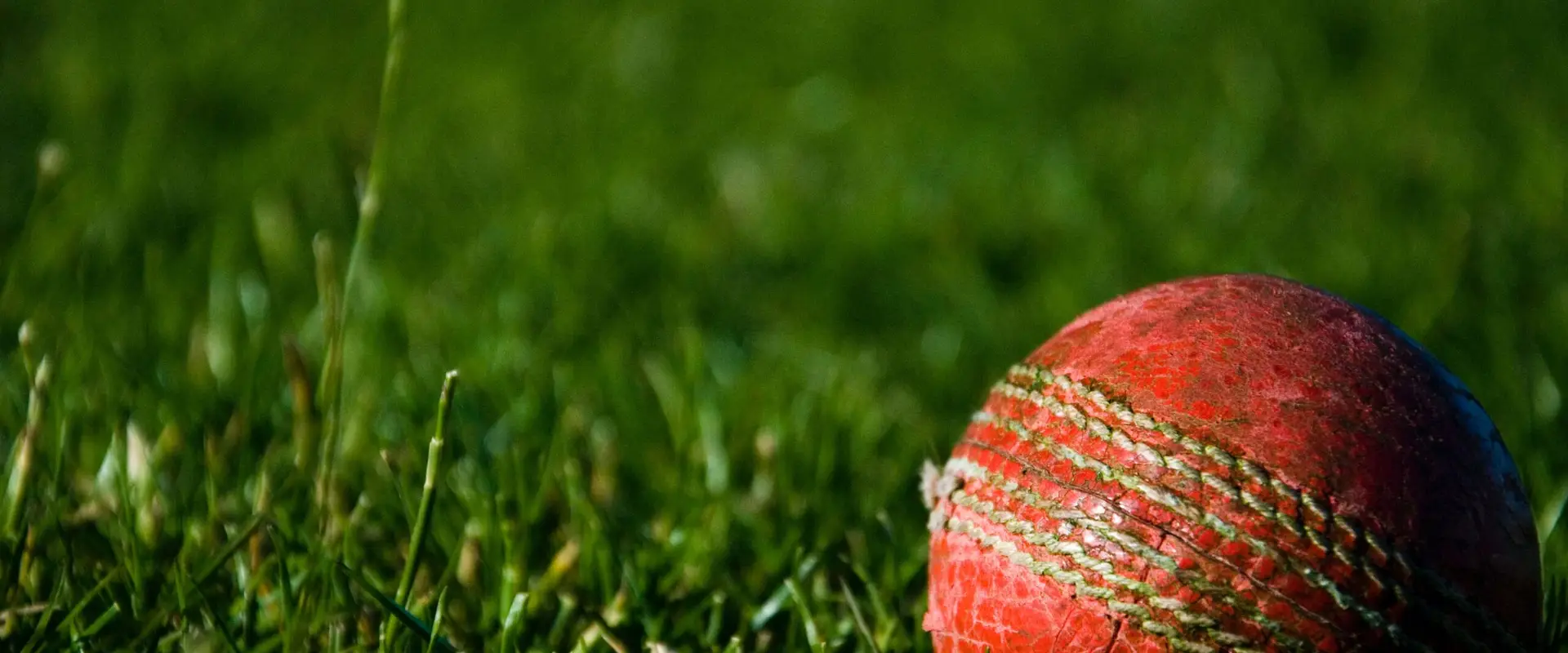 VKCA | Best Cricket Academy in Bangalore