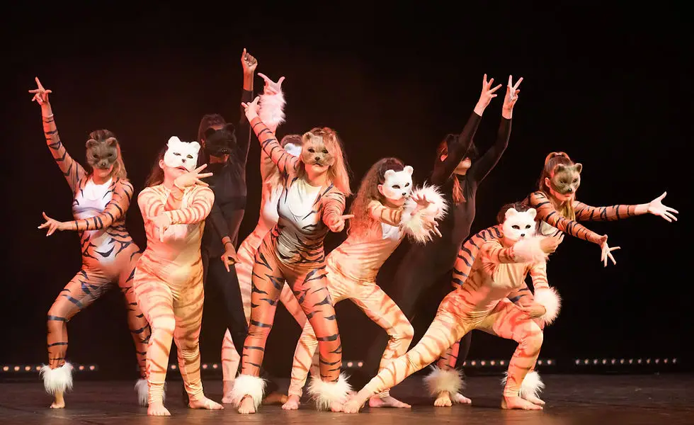 Dance Art Academy