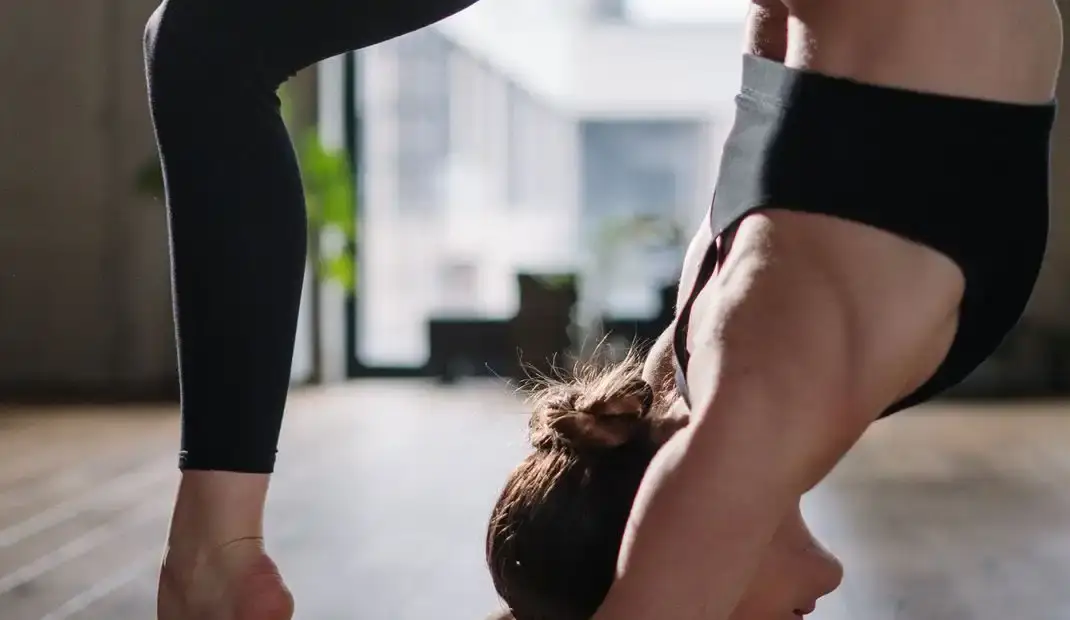 NC Fitness Studio | Personal Training Offline and Online