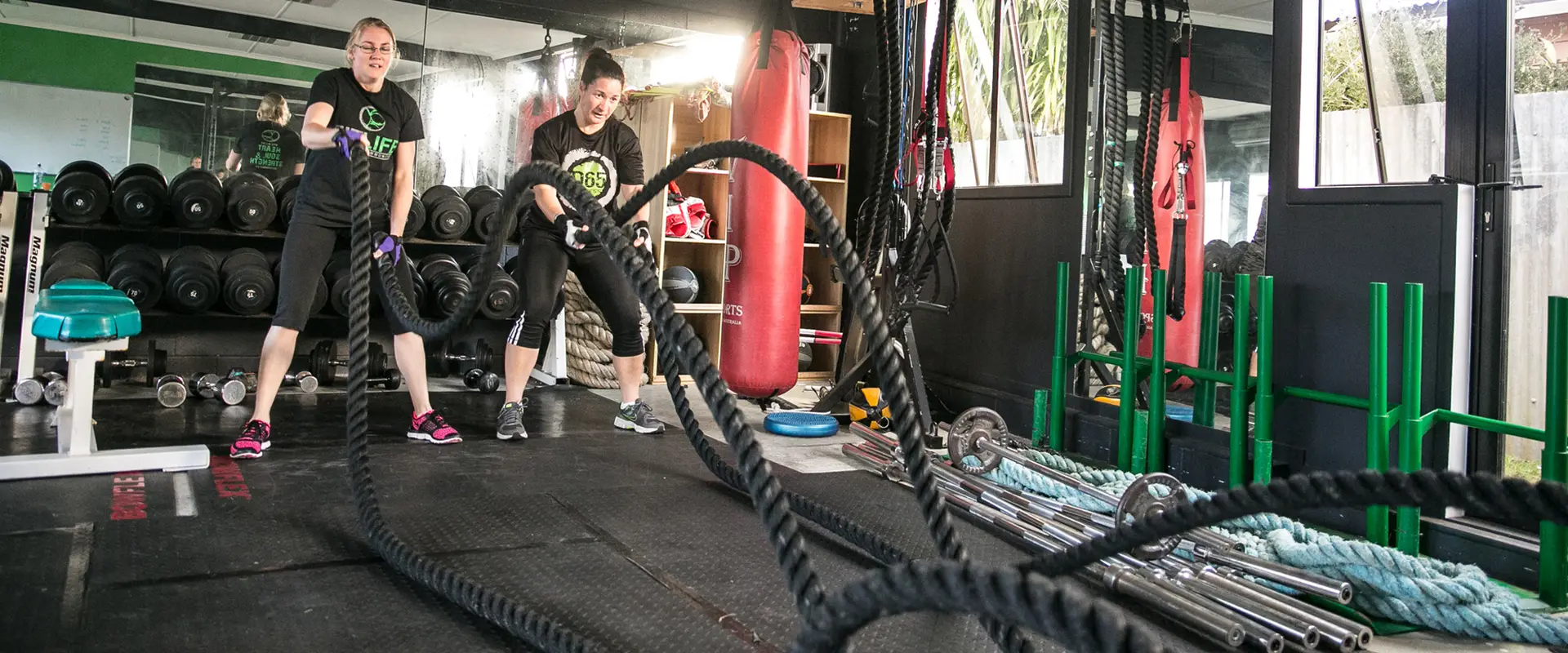 D65 Fitness