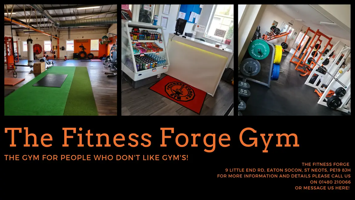 The Fitness Forge