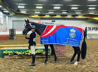 Spruce Grove Stables