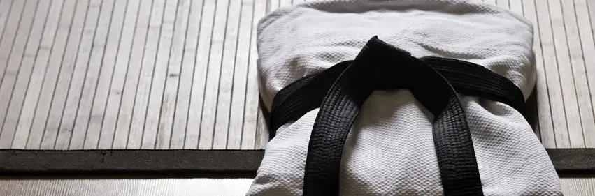 Shogun Martial Arts School