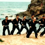 Le Souffle De La Licorne Yangkido Kung Fu
