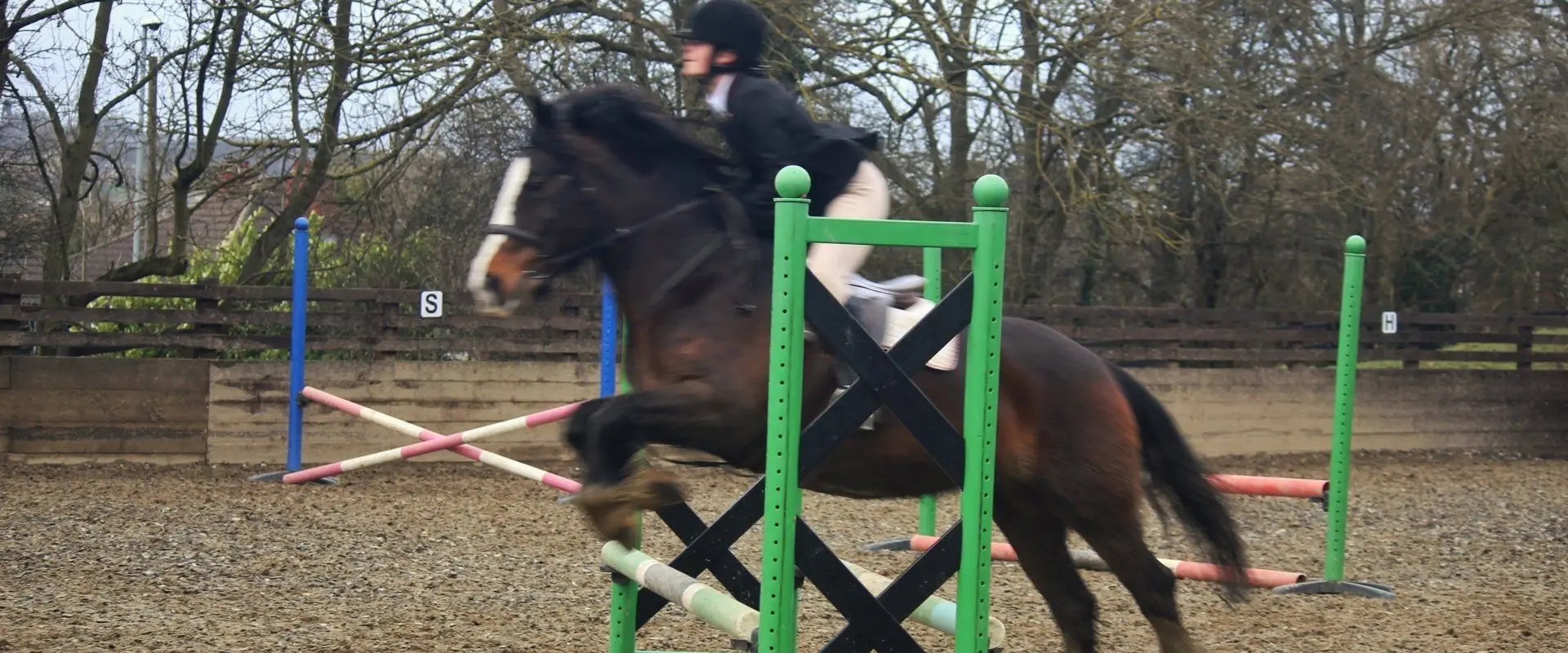 Back Lane Stables