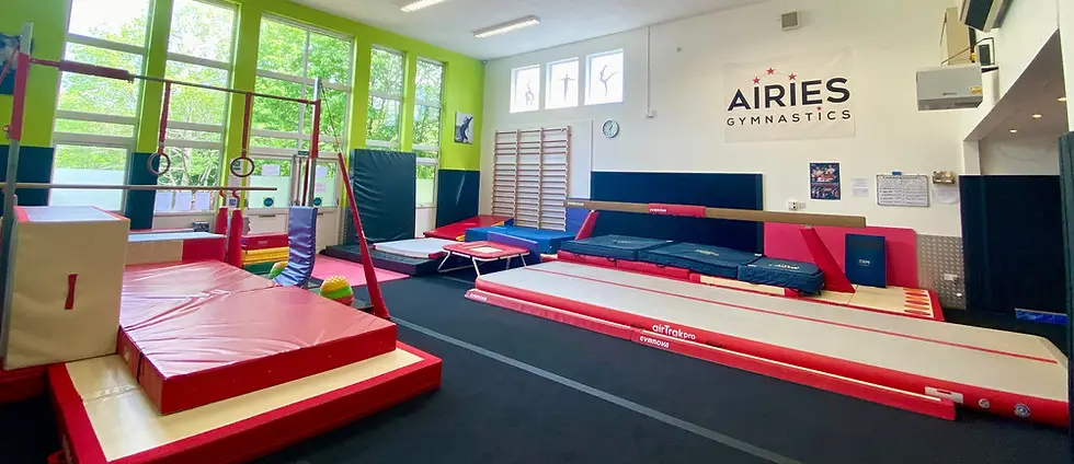 Airies Gymnastics Club Ltd