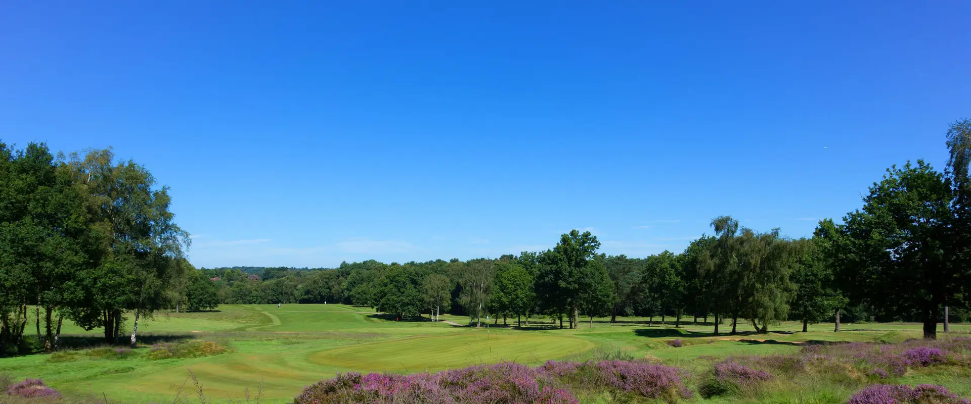 Royal Ashdown Forest Golf Club