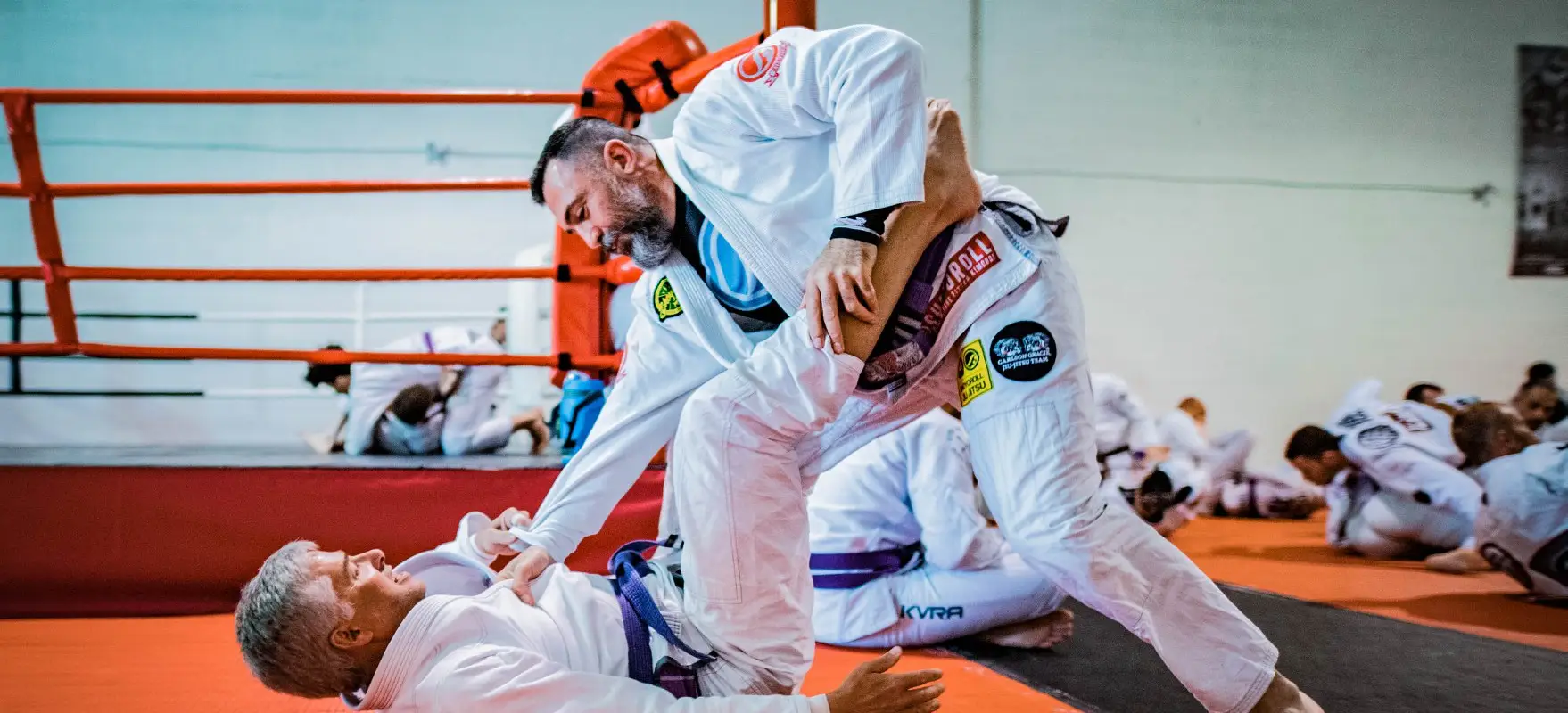 Action & Reaction MMA Inc.