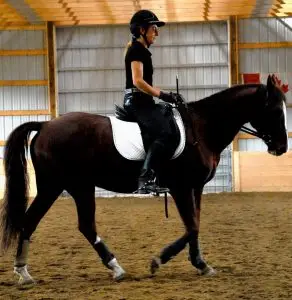 Falling Star Ranch Academy of Foundational Horsemanship