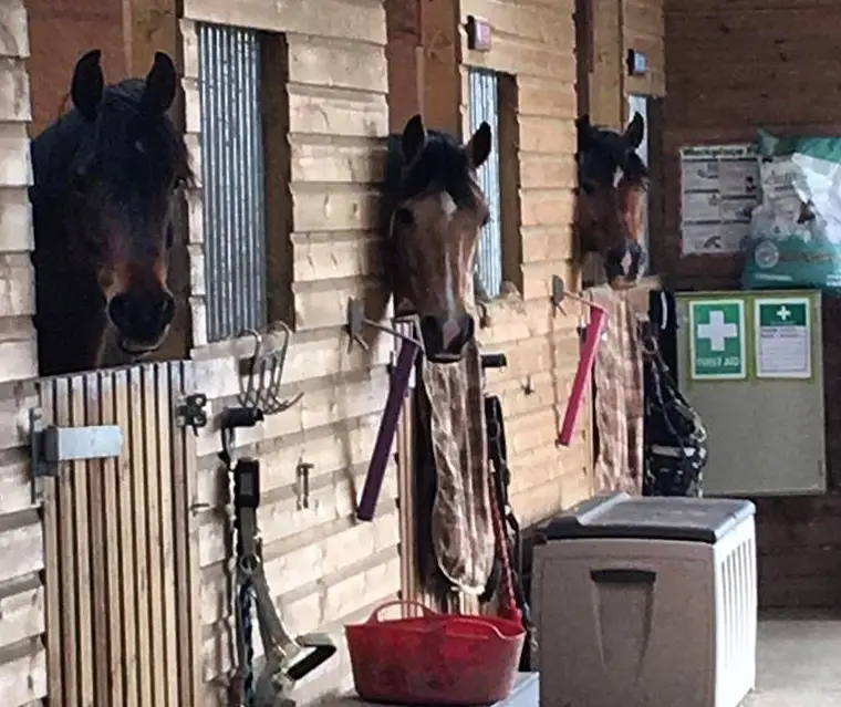 TyCroes Farm Equestrian Centre