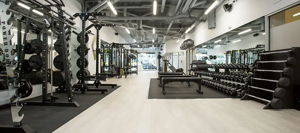 VIP Fitness & Lifestyle