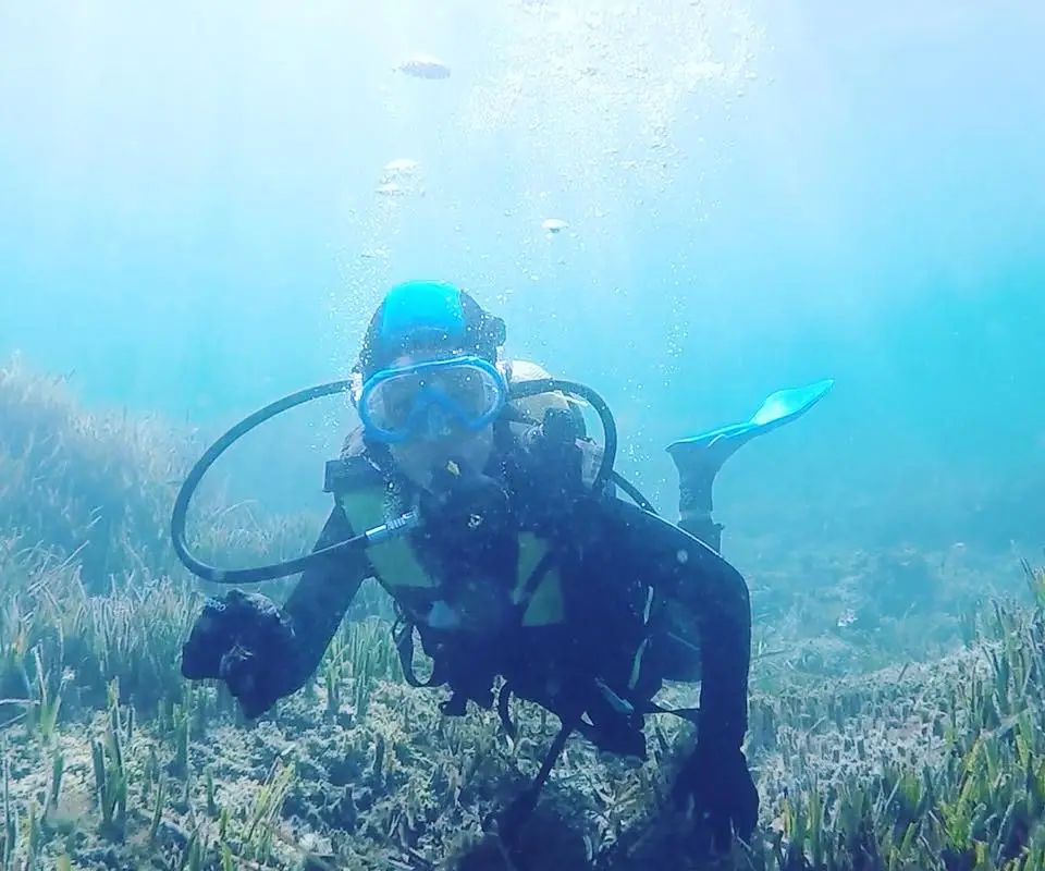 Bleu Marine Compagnie Club de Plongée