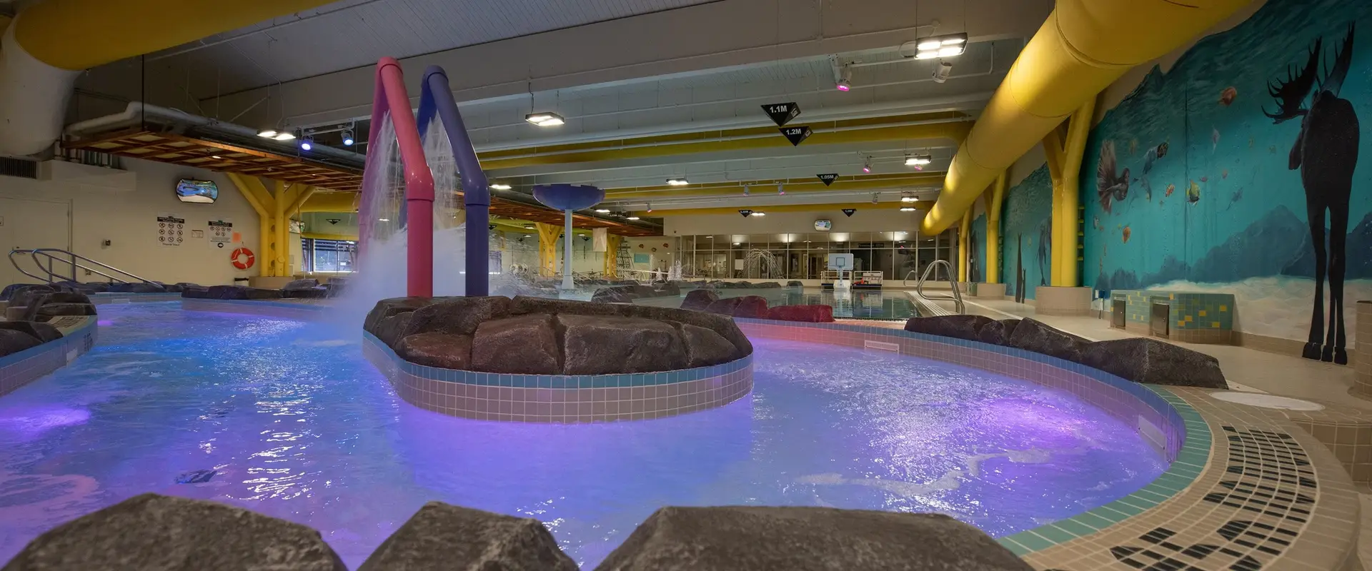 Cariboo Memorial Recreation Complex