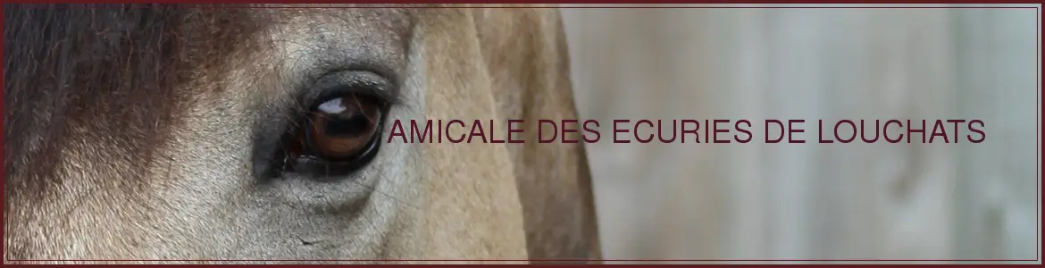 Ecuries de louchats