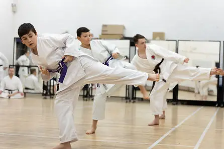 Haden Shotokan Karate Club (at Earls)