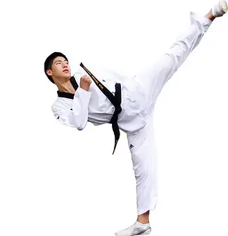 Taekwondo Kukki