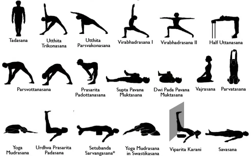 Internship | Yoga-Clamart.com