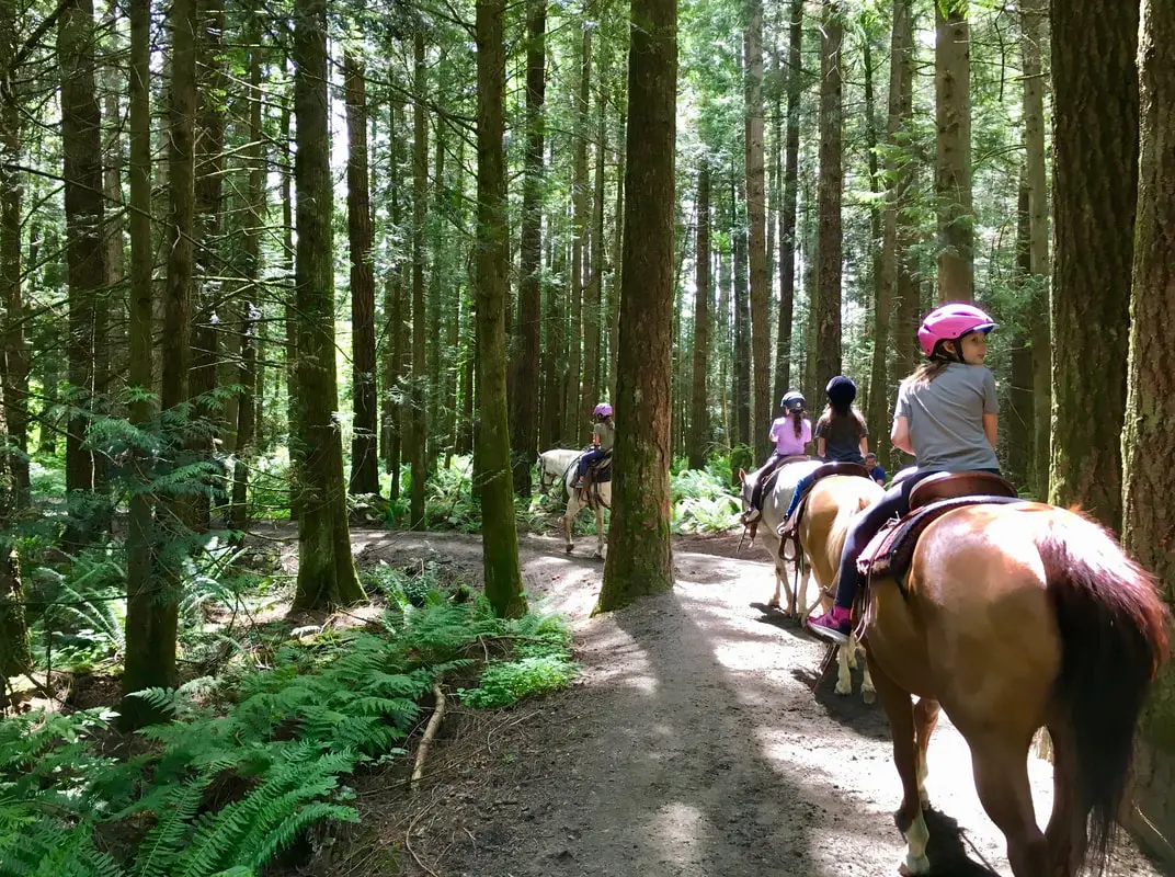 Glen Valley Stables