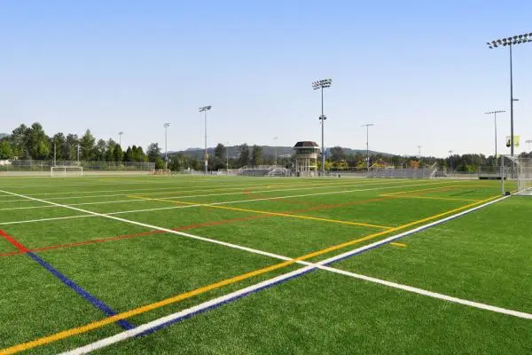 Illuminated All-Weather Field #1