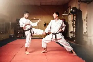 Departmental Committee Judo Des Pyrénées-Orientales