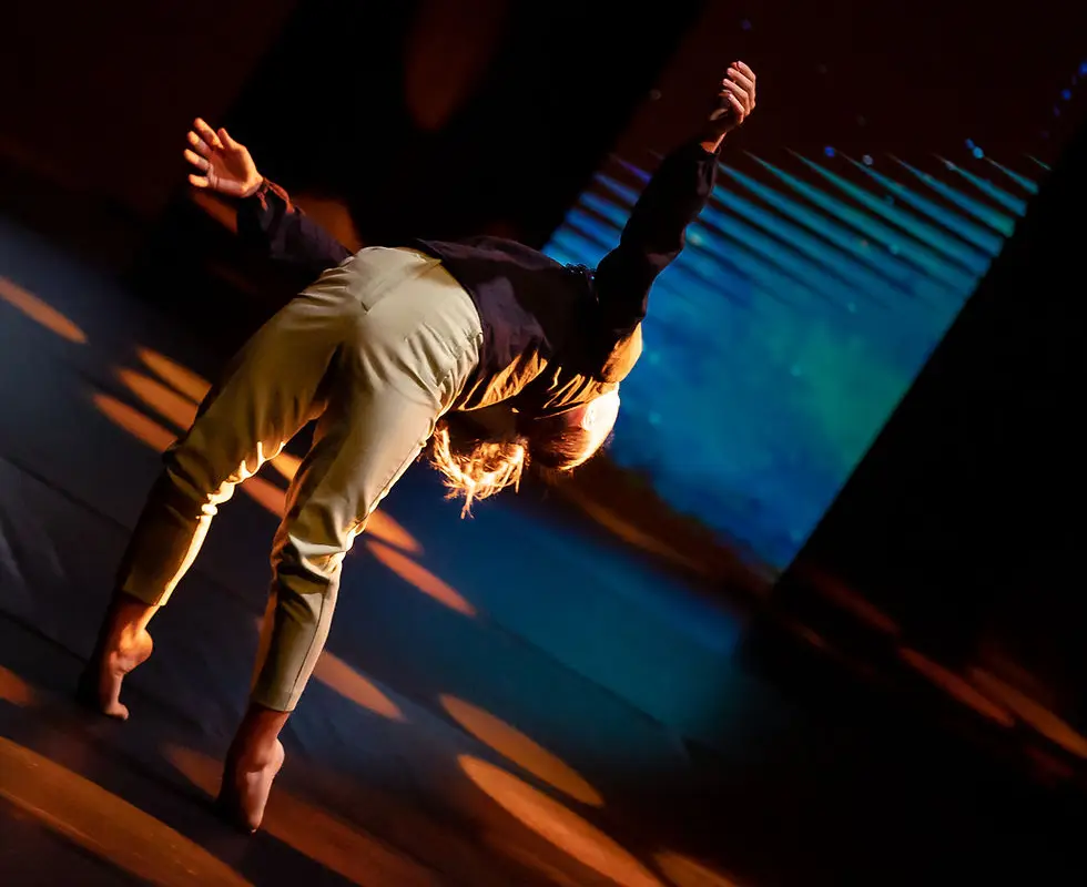 Envy Danse