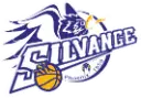 Us Silvange Basket