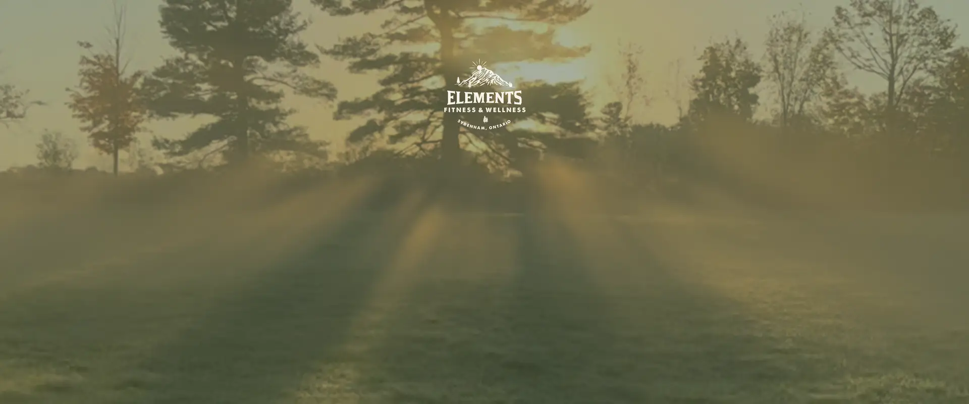 Elements Fitness and Wellness