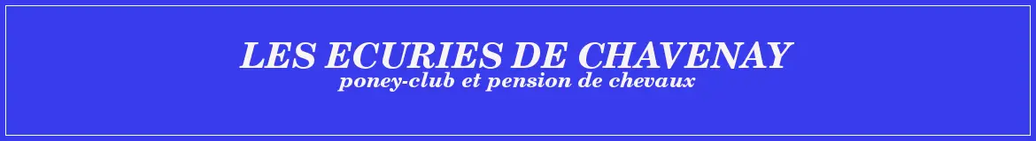 Les Ecuries De Chavenay