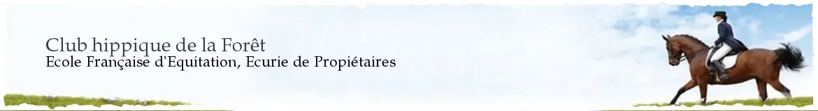Equestrian Club De La Forêt