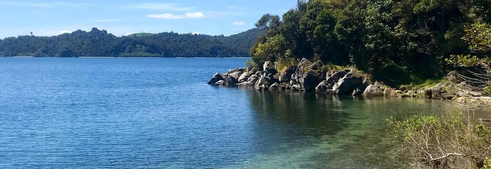 Aotearoa Dive