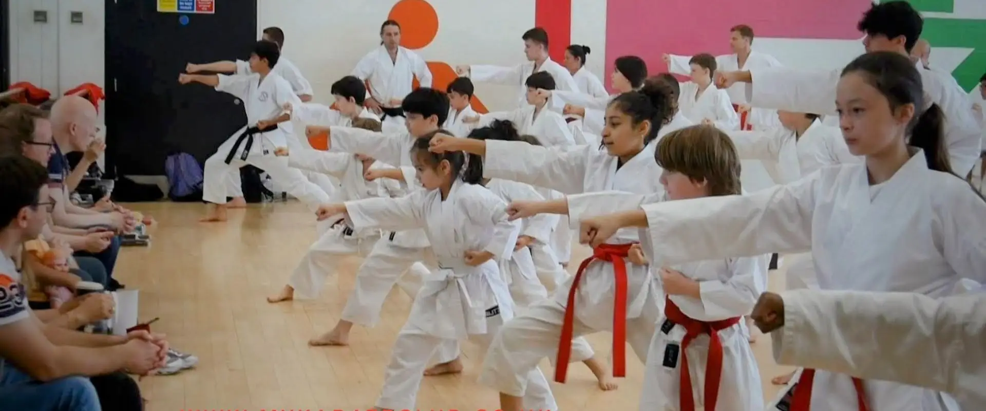 My Karate Club
