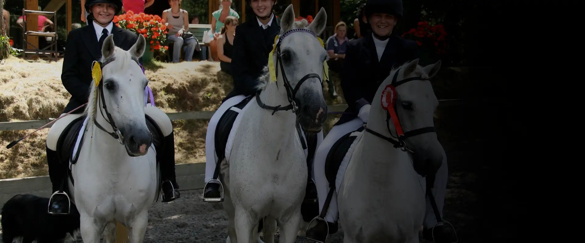 Budleigh Salterton Riding School