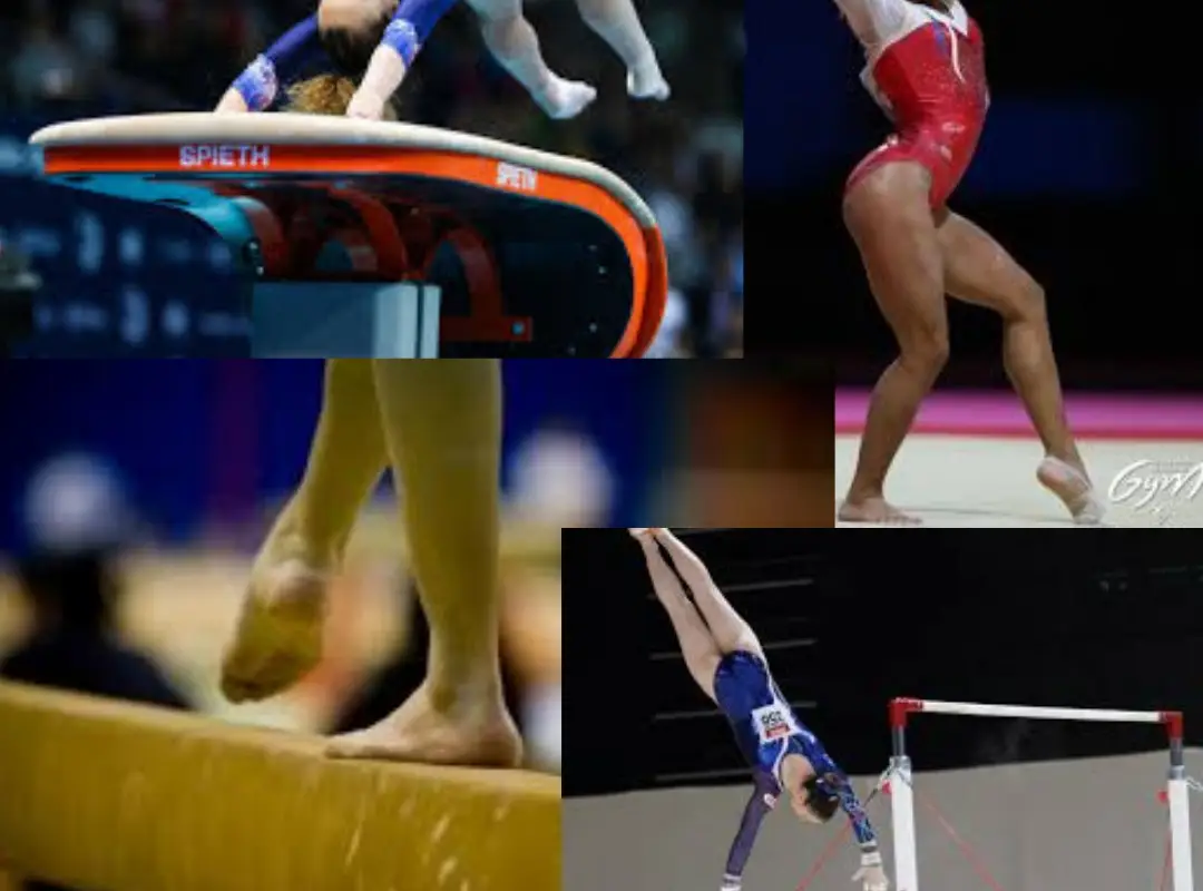 Association Gymnique Fameckoise