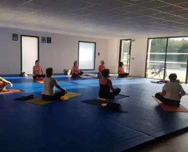 YogiVie
