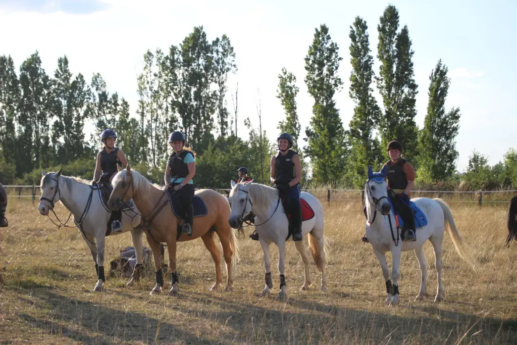 Recreation Association Equestres En Région Toulousaine