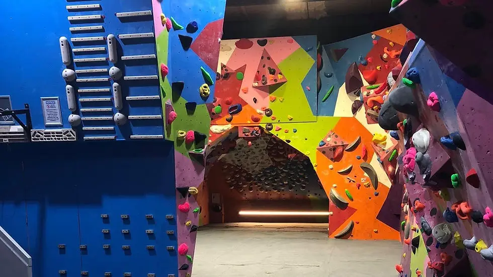 Forest Climbing LTD