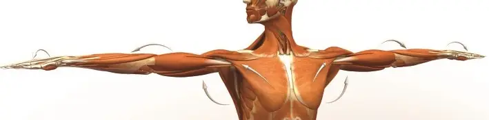 Unstoppable Rhythms Soft Tissue Therapy and Yoga